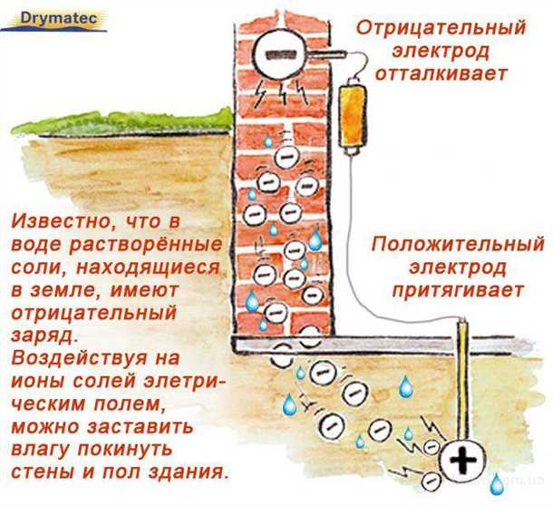 1. Устраните причину затопления