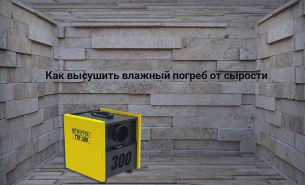Как высушить погреб в гараже