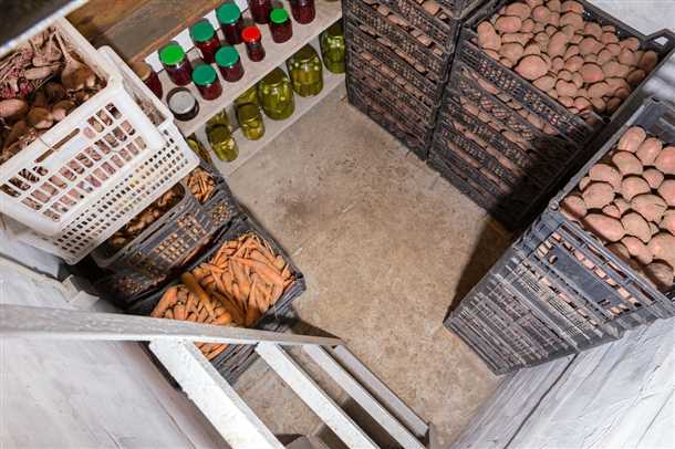 Выбор подходящего места хранения