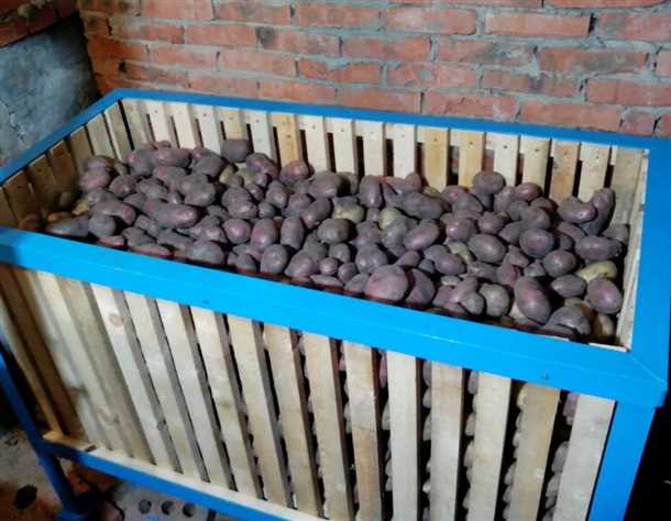 Как хранить картошку в гараже Как хранить картошку в гараже