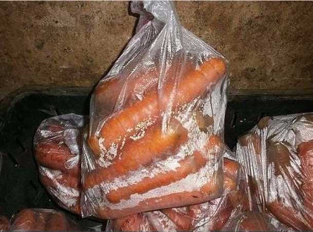 Выбор моркови