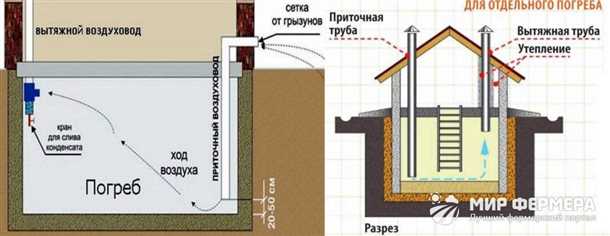 1. Овощи и фрукты