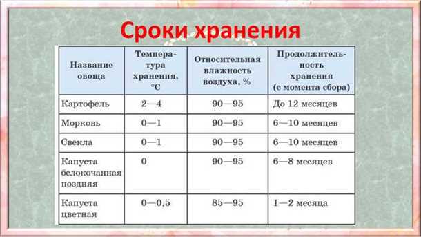 Какие продукты можно хранить в погребе?