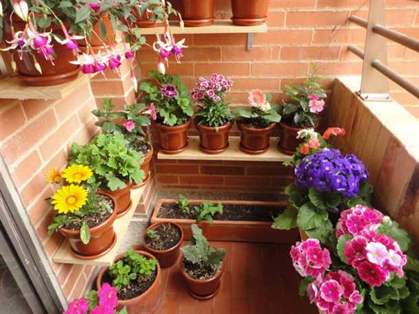 Герани на балконе: отличное решение для любителей классики