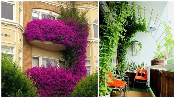 2. Размер и форма дерева