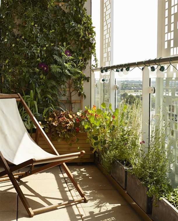 2. Лимонное дерево (Citrus limon)