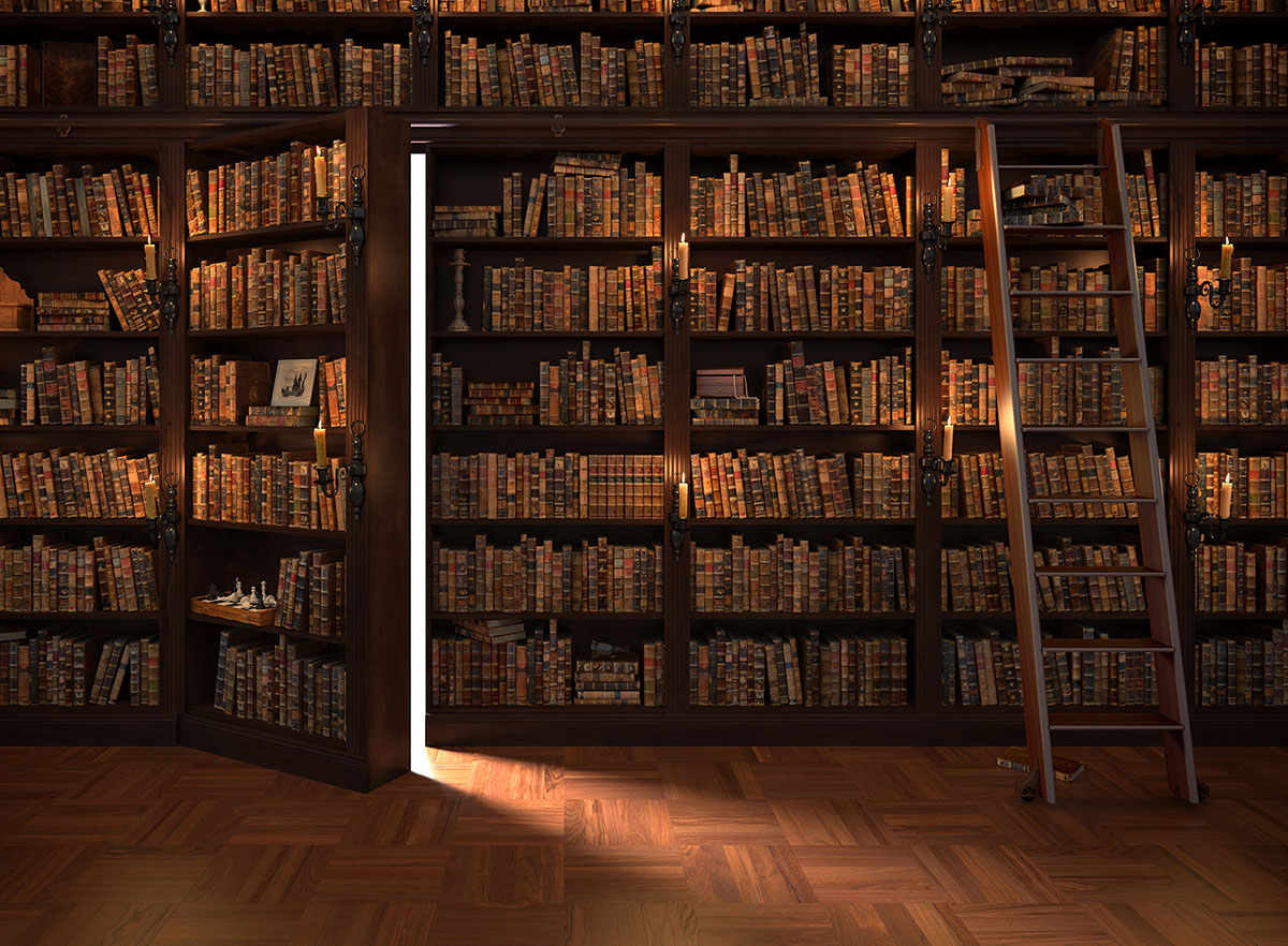 Книжный шкаф и фотообои: оригинальное сочетание для вашего интерьера Книжный шкаф и фотообои