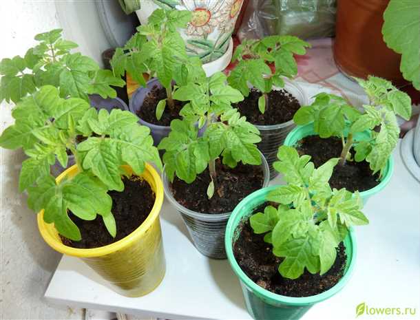 Лето и осень