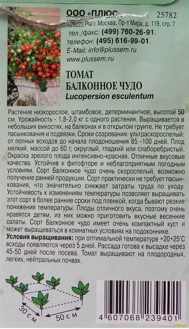 Когда сажать помидоры балконное чудо Когда сажать помидоры балконное чудо