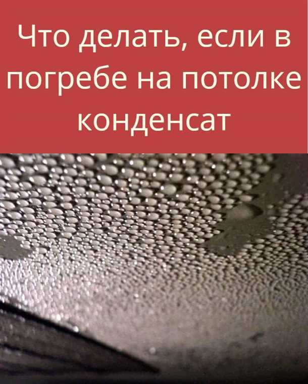 Как проводить регулярное обслуживание погреба, чтобы избежать проблем с конденсатом?