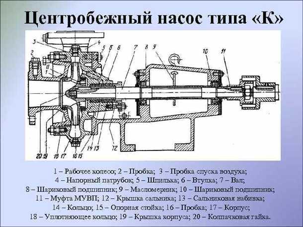 Конструкция центробежного насоса - основные компоненты и принцип работы Конструкция центробежного насоса
