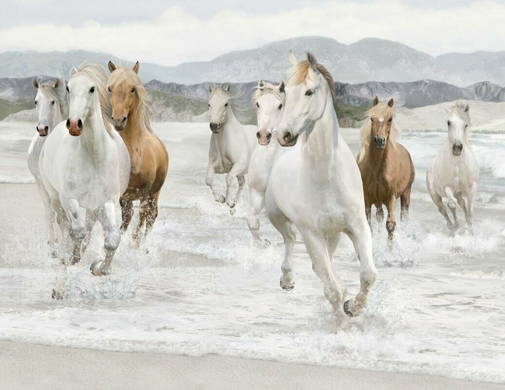 Лошади фотообои Лошади фотообои