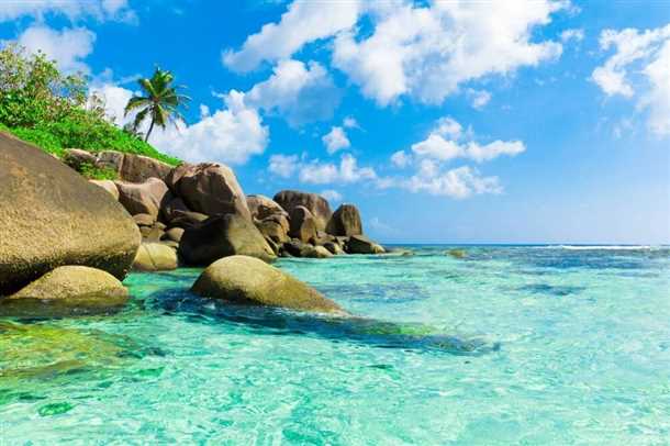 Как установить фотообои?