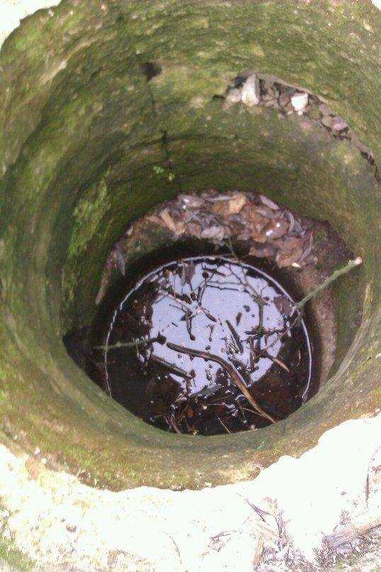 Влияние мутной воды на здоровье