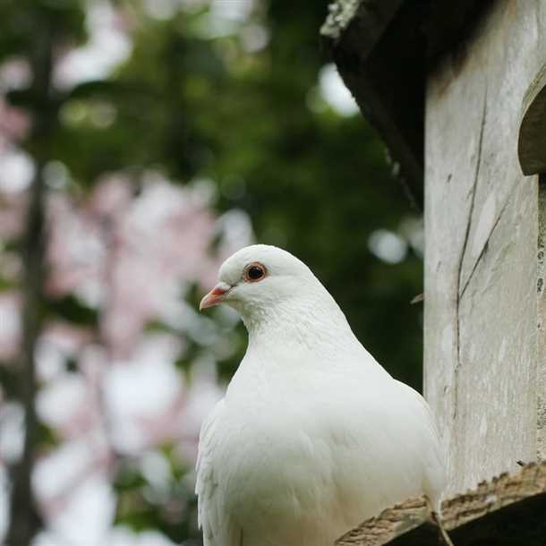 4. Шум и беспокойство