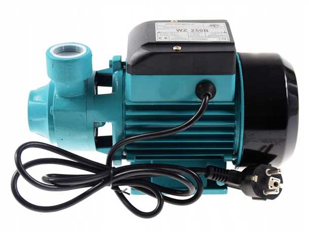 Преимущества садовых насосов: