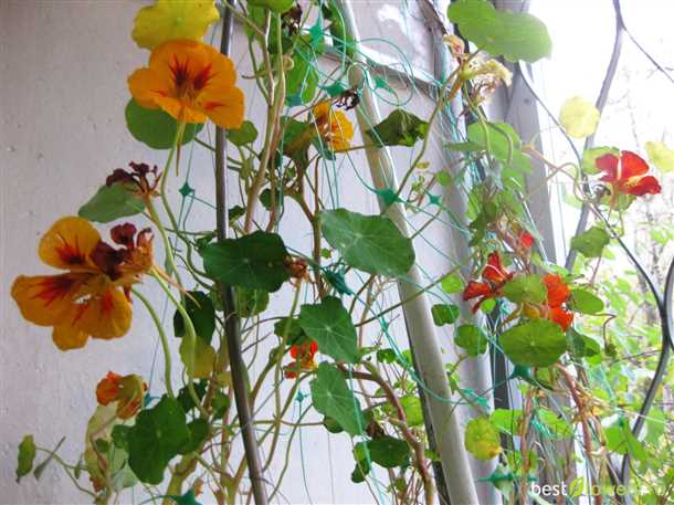 Время полива