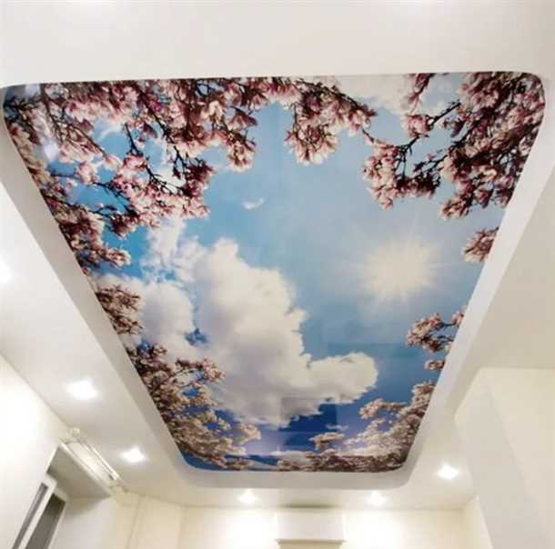 Потолки с фотографиями знаменитых людей