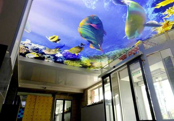 Потолки с пейзажами