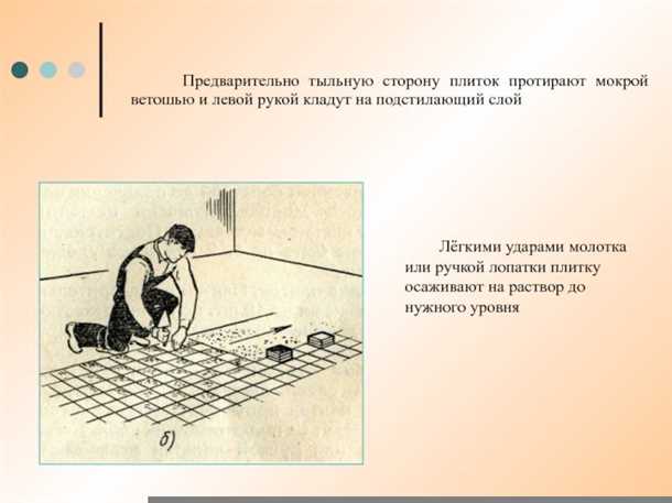 Размер и форма