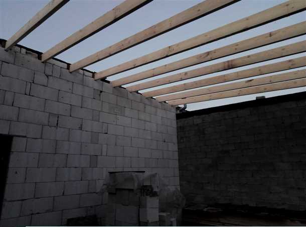 Цветовые и стилевые решения для односкатной крыши гаража