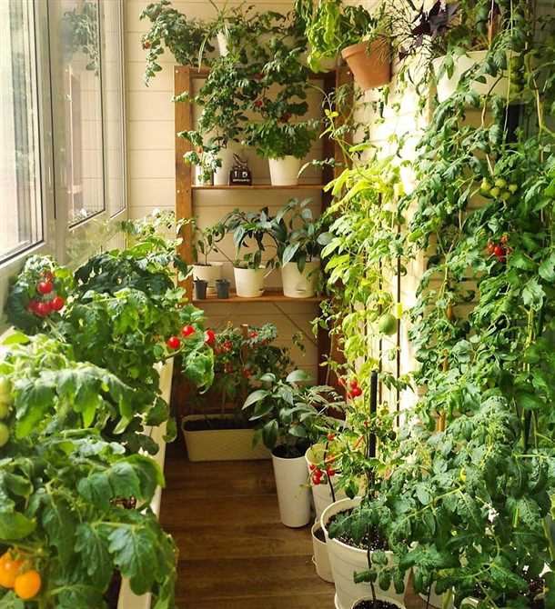 Советы по увеличению урожайности