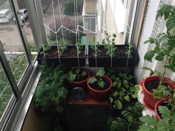 Необходимые инструменты для огорода