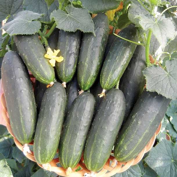 2. Интернет-магазины