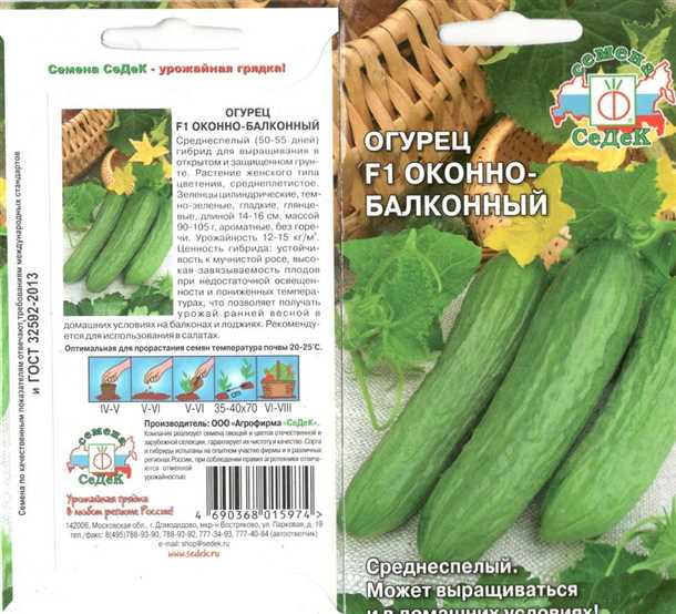 Выращивание сорта огурца F1 Балконный: