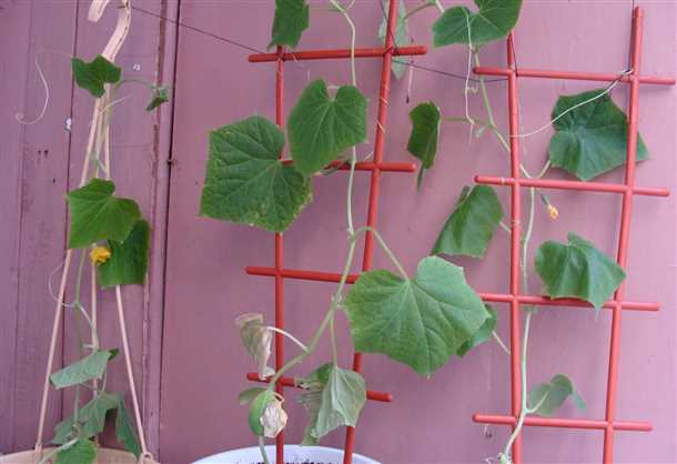 3. Повышение качества воздуха: