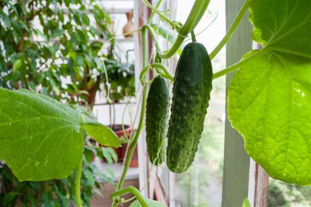 2. Обращайте внимание на температуру