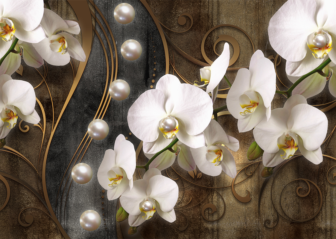 Орхидеи фотообои Орхидеи фотообои