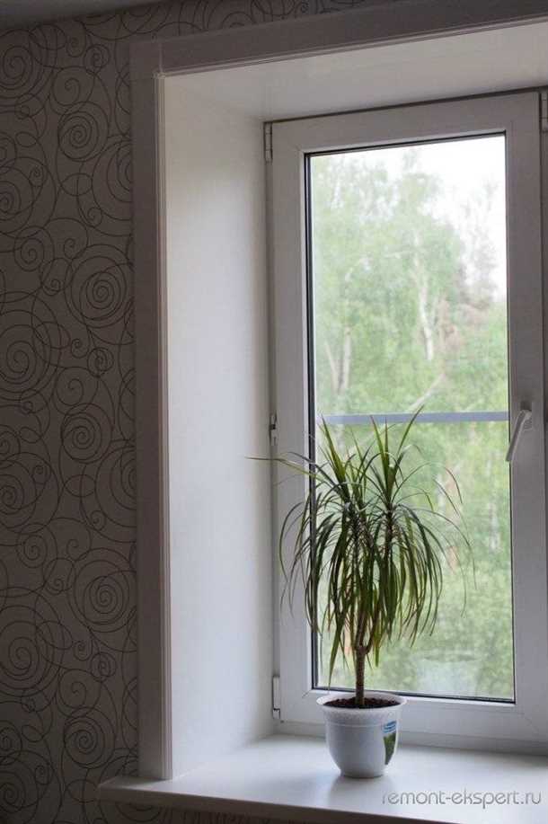 Массив дерева