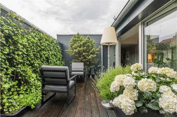 Регулярный уход за растениями