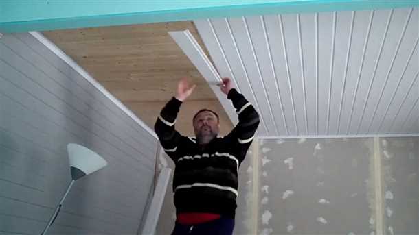 2. Декоративная пластиковая вагонка