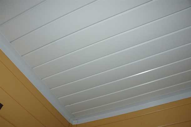 Пластиковая вагонка на потолок