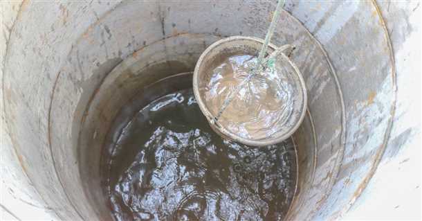 Происхождение зеленой окраски в воде