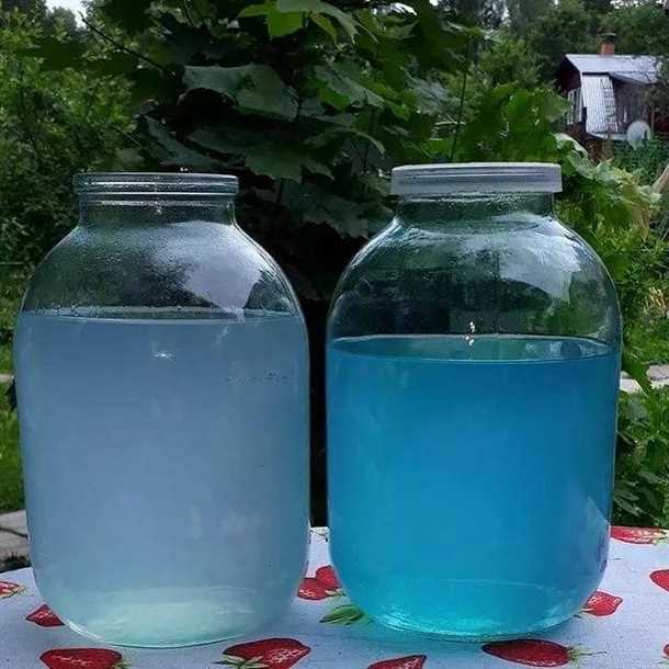 Основные факторы, влияющие на зеленую окраску воды: