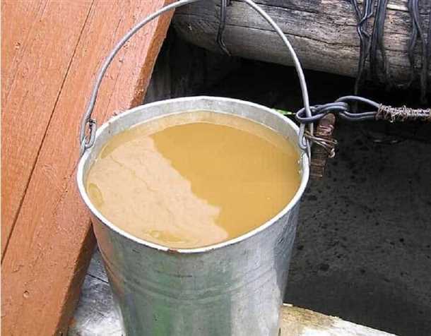 Почему вода из колодца становится зеленой - причины и способы борьбы с проблемой Почему вода из колодца зеленеет