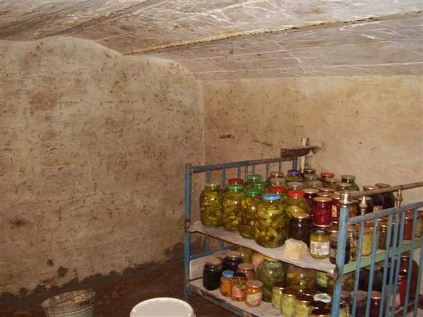 Защита от грызунов и насекомых