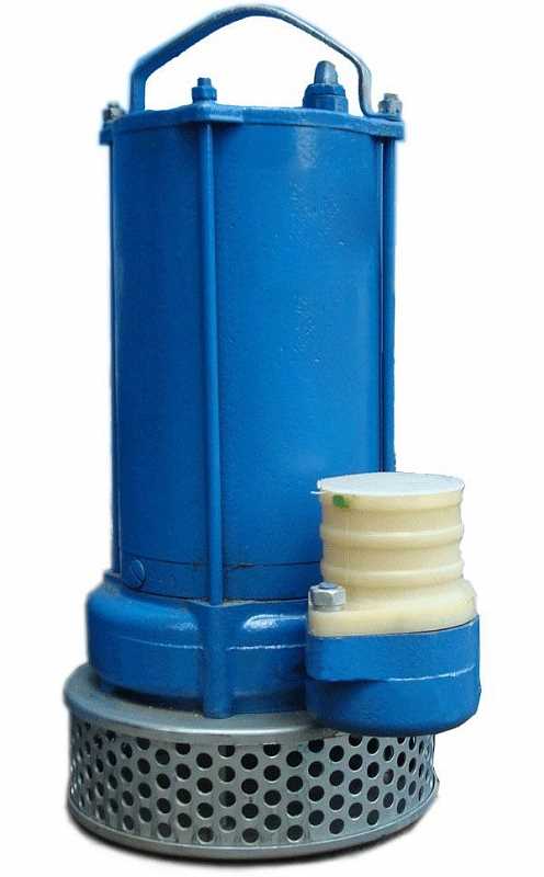 Как выбрать идеальный погружной насос гном для вашей задачи?