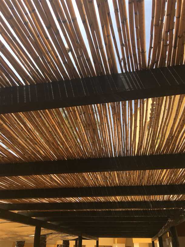 Преимущества антибактериальных свойств бамбука: