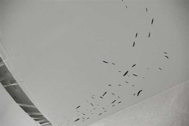 Возможные причины разрыва натяжного потолка