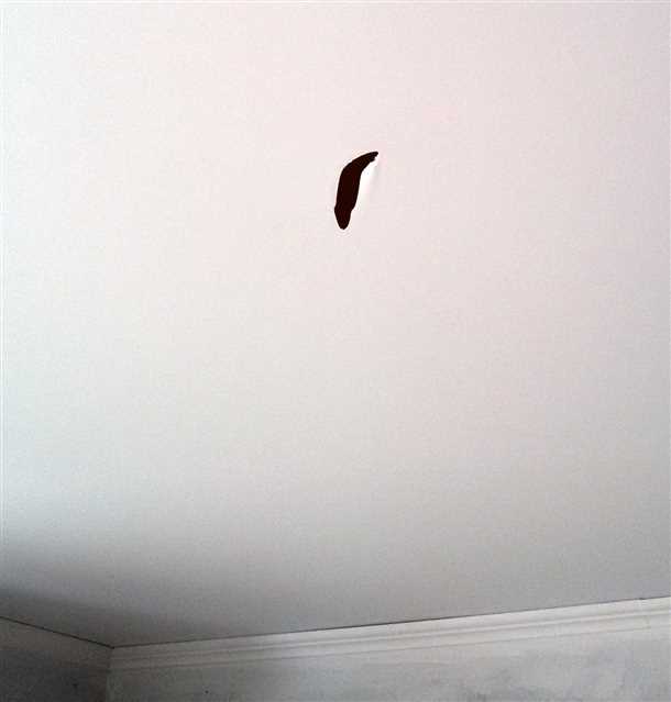 Важные моменты при выборе исполнителя