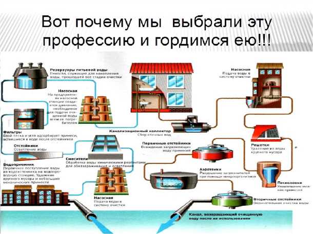 Санитарный контроль