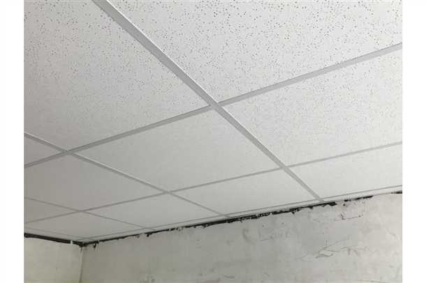 Водостойкость и стойкость к влаге