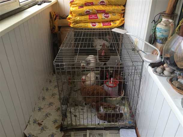 Оборудование