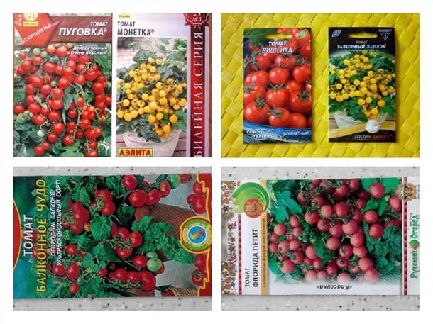 Сорта томатов для выращивания на закрытых балконах и лоджиях