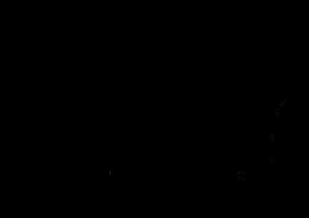 Советы по организации хранения на стеллажах аккумуляторных в подвале и погребе