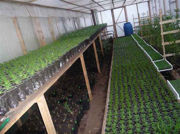 Стеллажи под небольшие теплицы